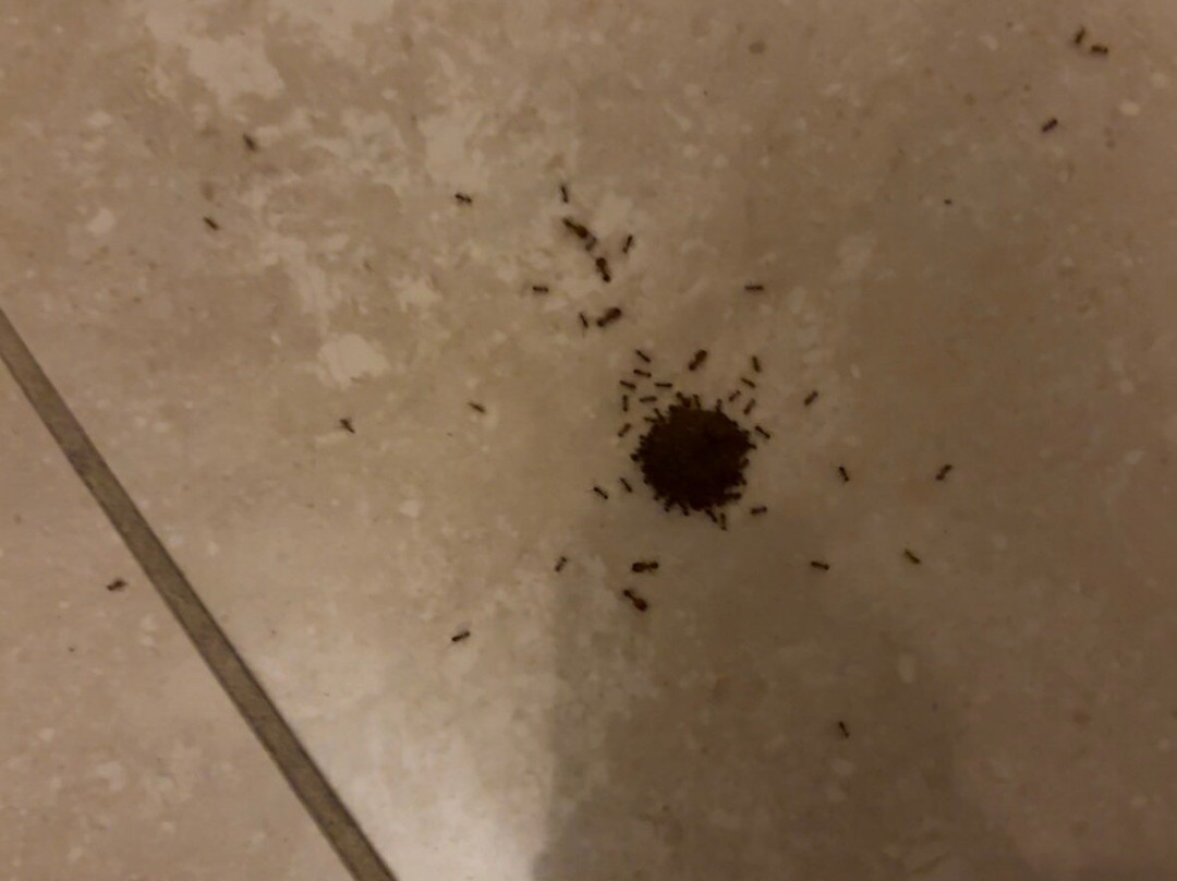 格兰圣立那酒店主图