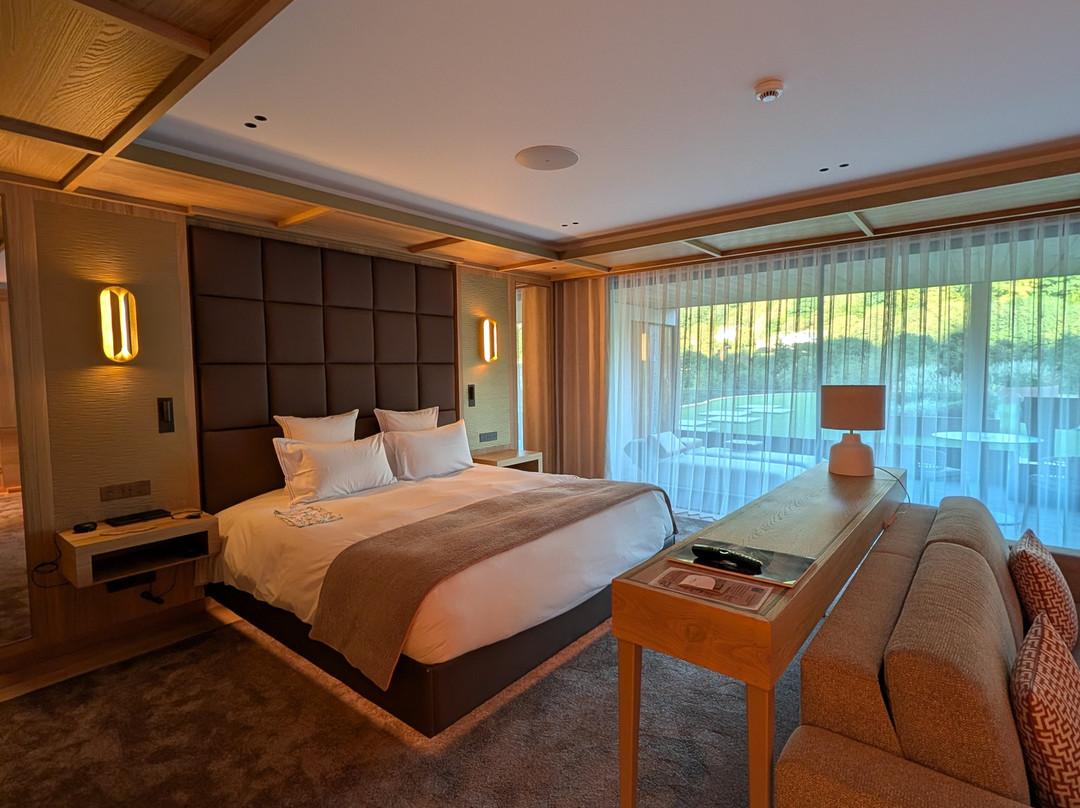 Hôtel Restaurant & SPA Julien主图