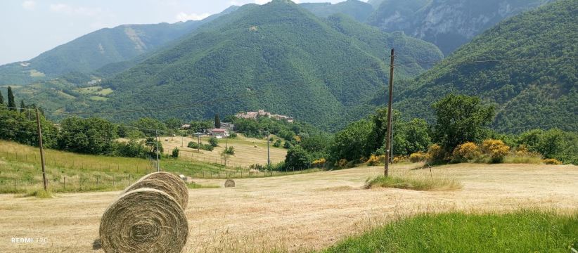 B&B la Piazzetta di Pascelupo-旅行者