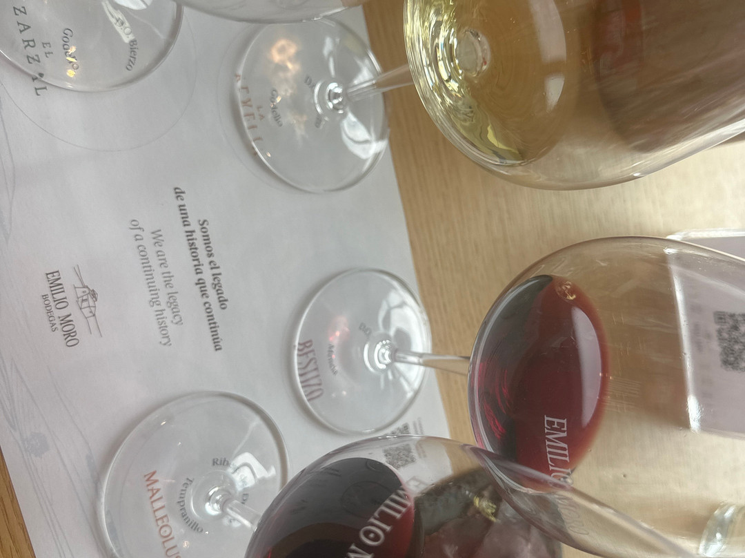 Bodegas Emilio Moro Bierzo-蓬费拉达必去景点