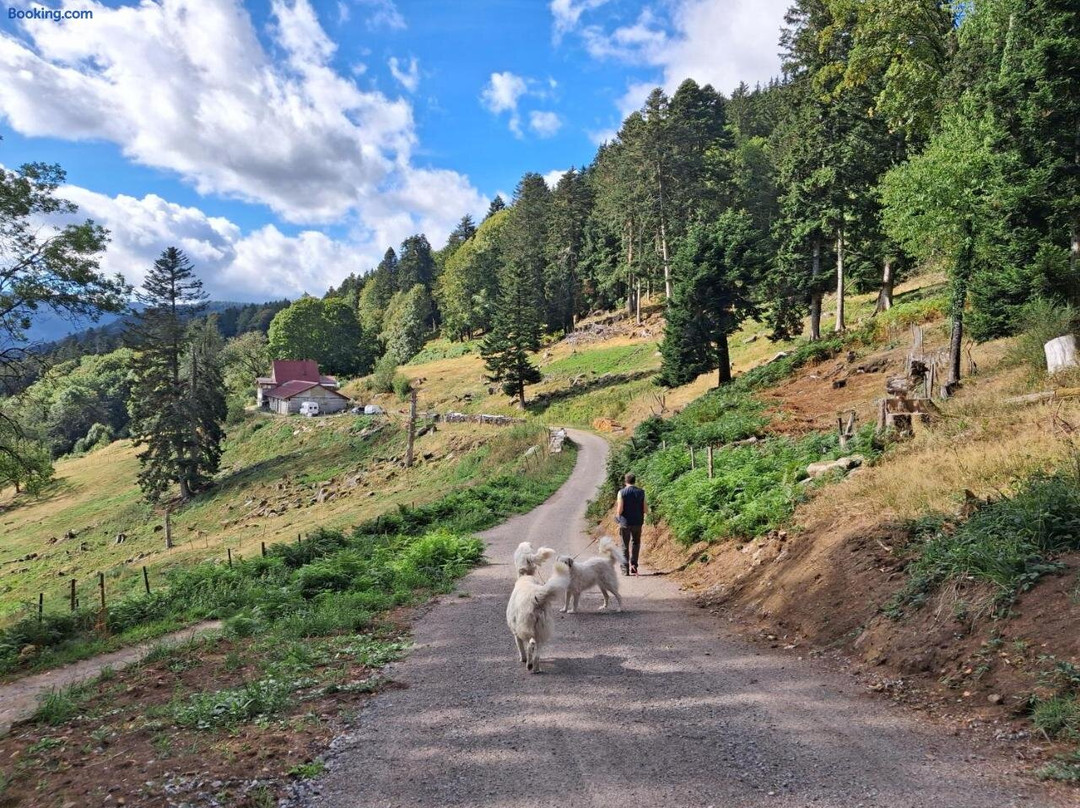 Ferme IM-Berg