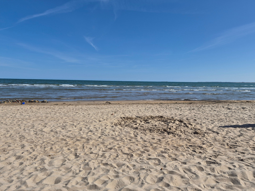 Alnmouth Beach-Alnmouth必去景点