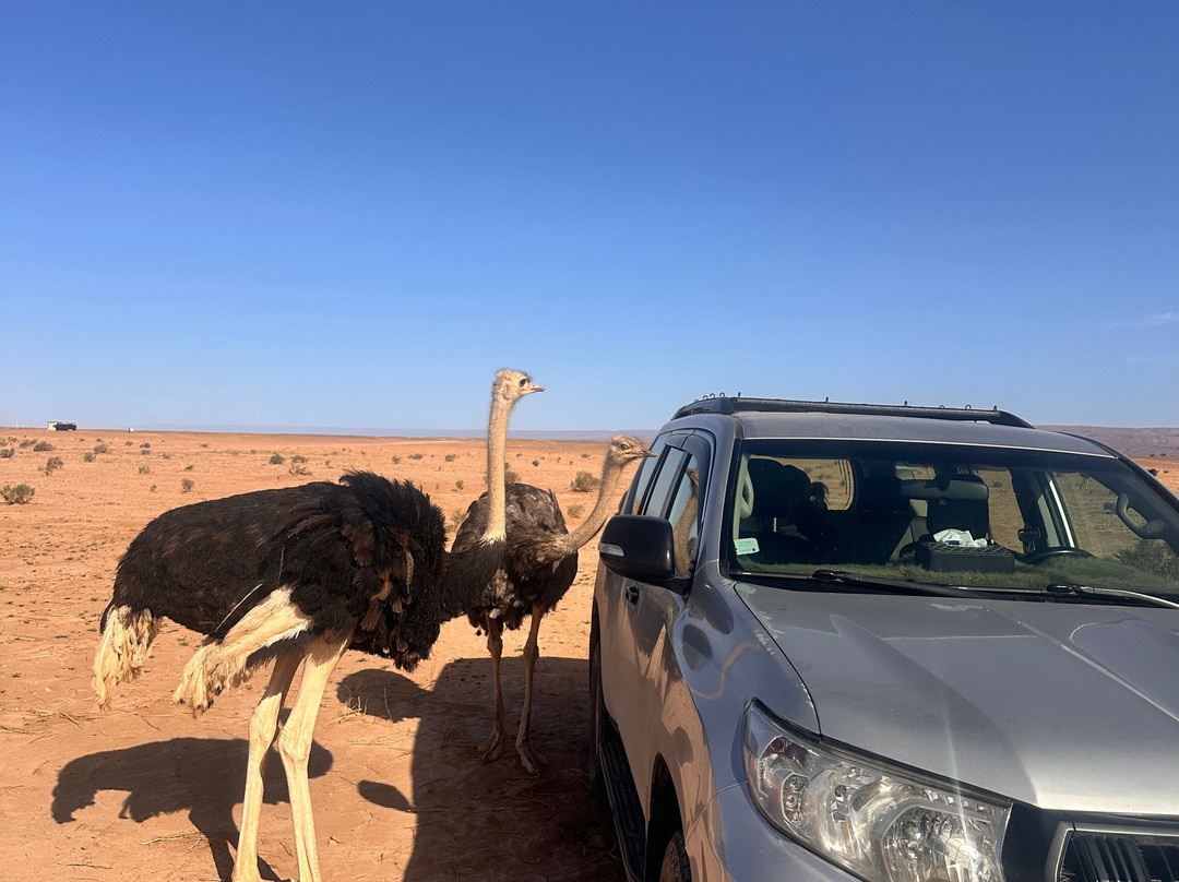 Voyage Désert Maroc-迈哈米德必去景点