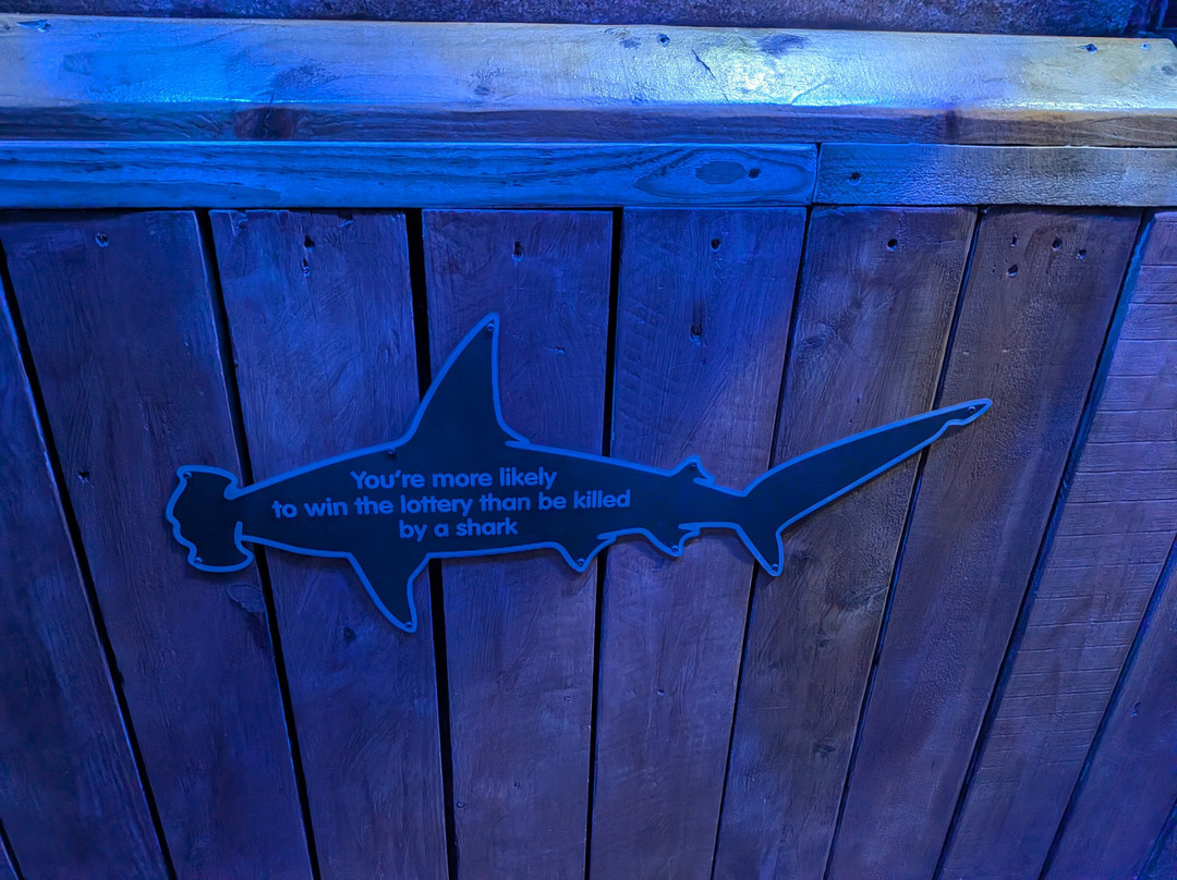 SEA LIFE Hunstanton-Hunstanton必去景点