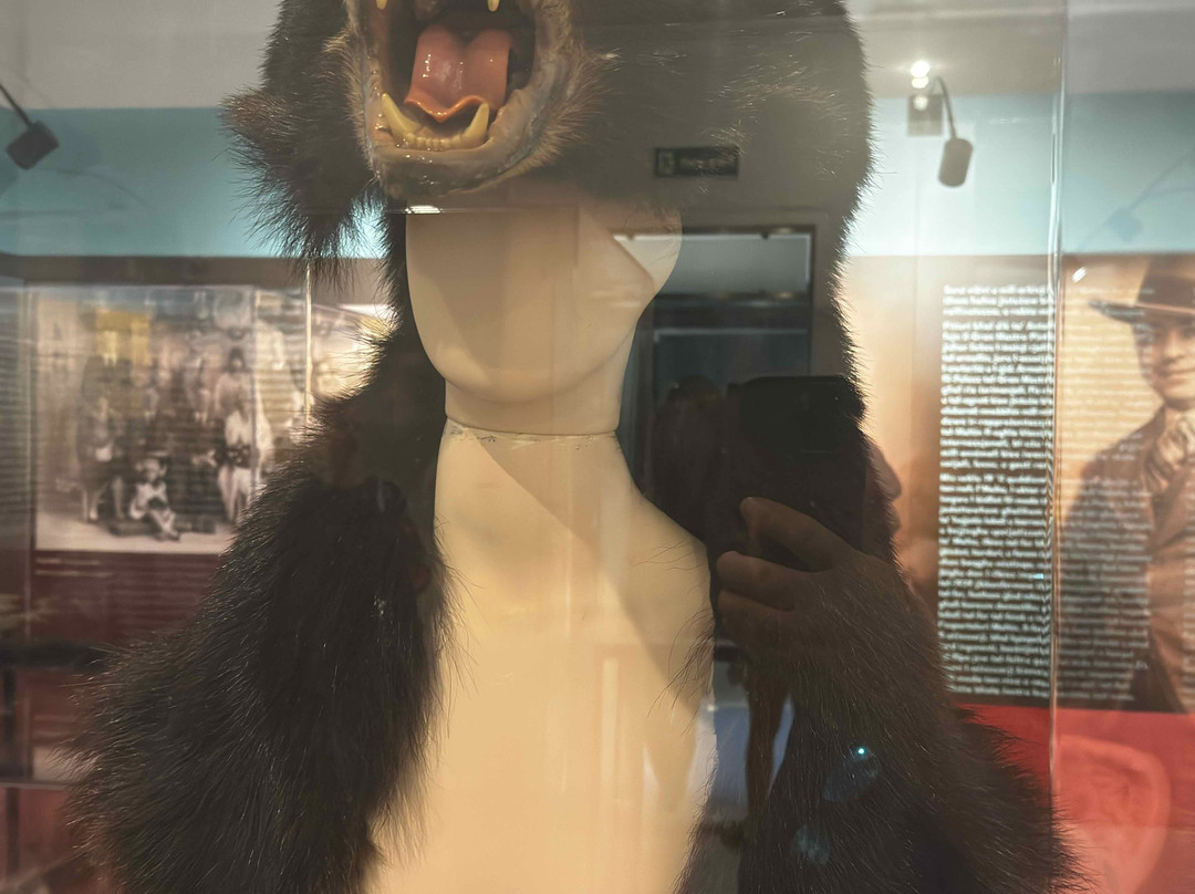 National Museum of Natural History-姆迪纳必去景点