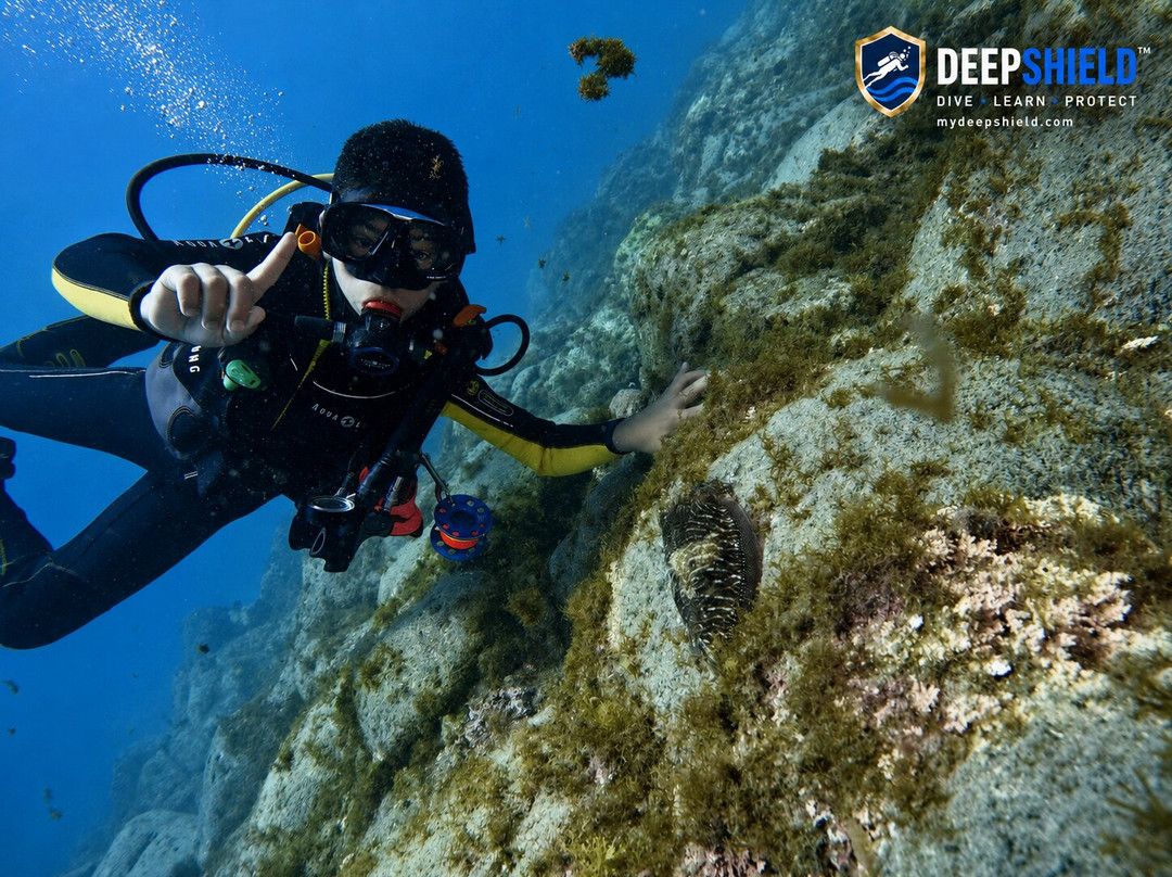 Espiritu De Buceo-圣地亚哥港必去景点