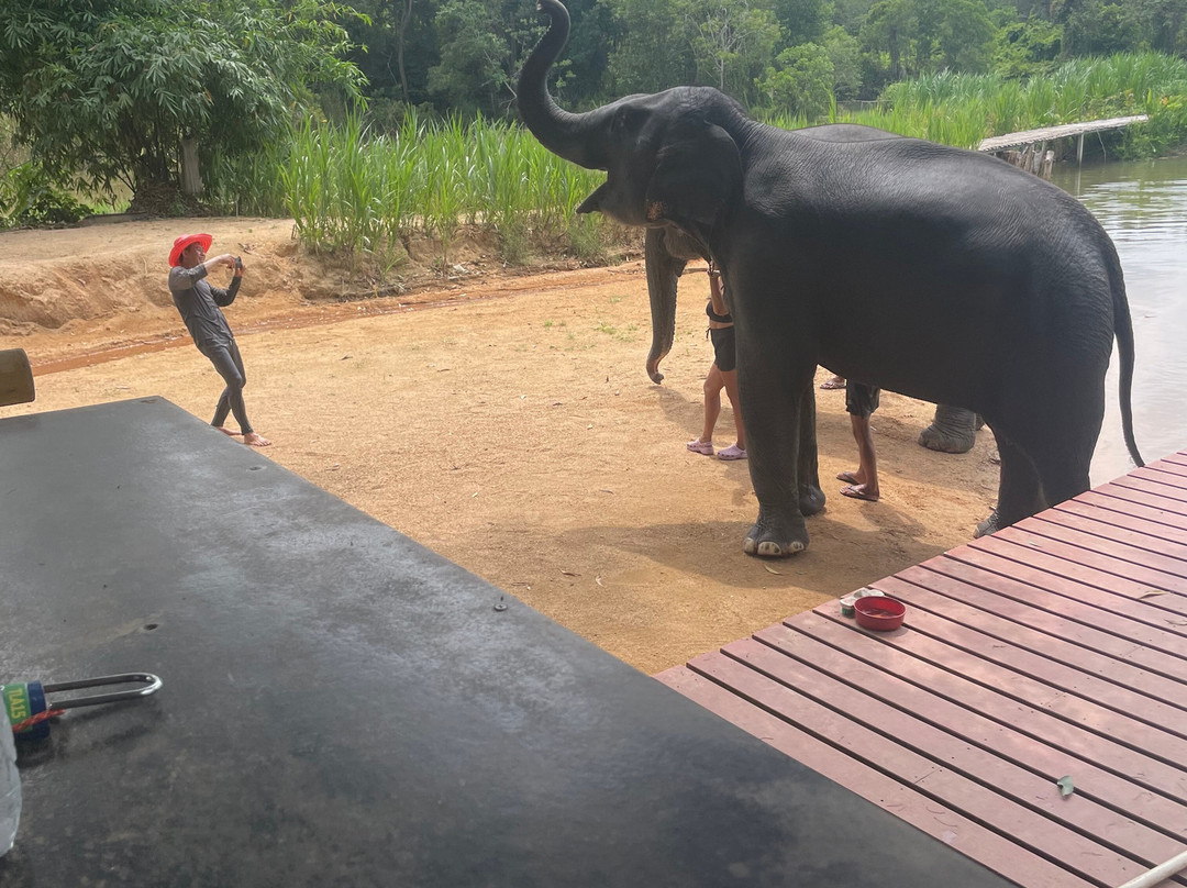 The Lake Phuket Elephant Home-Thep Krasatti必去景点