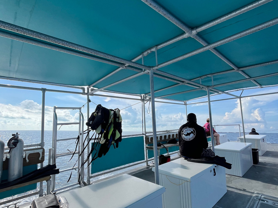 Neal Watson's Bimini Scuba Center-Alice Town必去景点