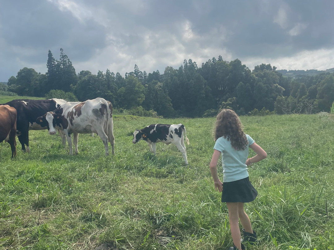 Âmago Wellness Farm-Achadinha必去景点