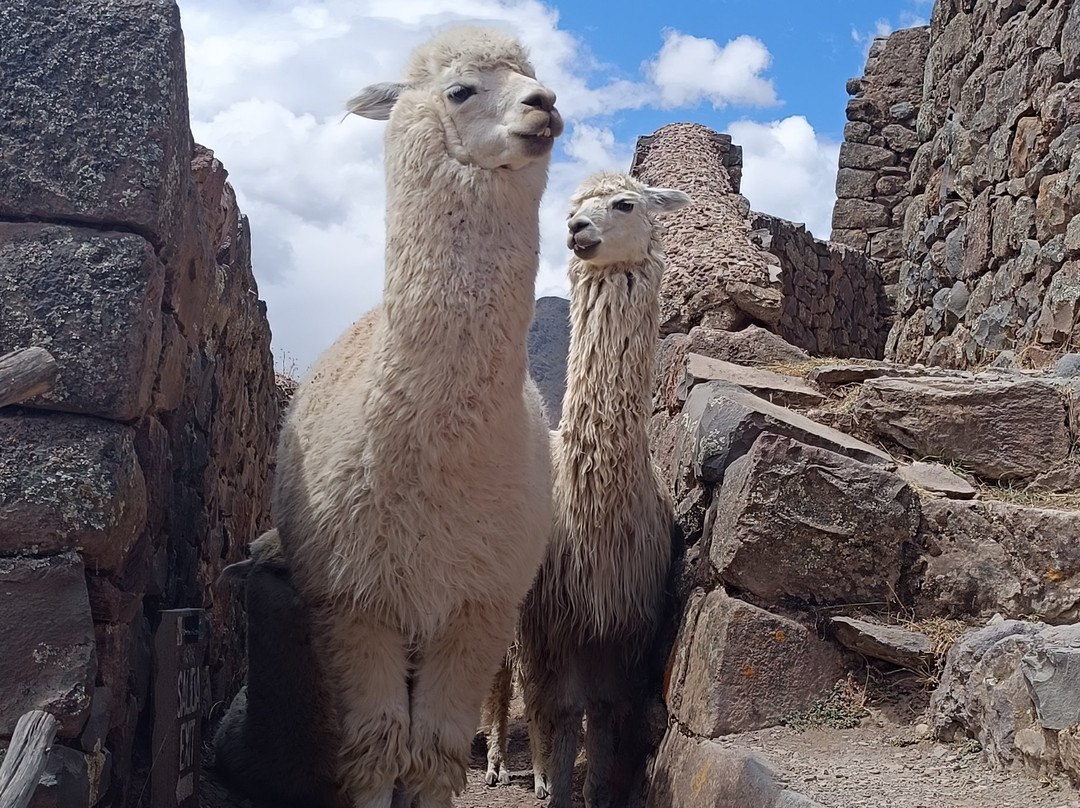 SAM Travel Peru-库斯科必去景点