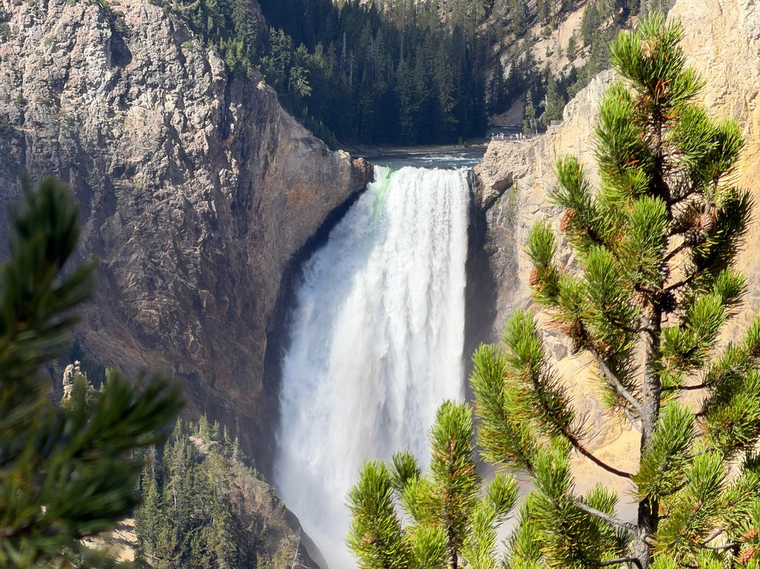 Jackson Hole Eco Tour Adventures-杰克逊必去景点