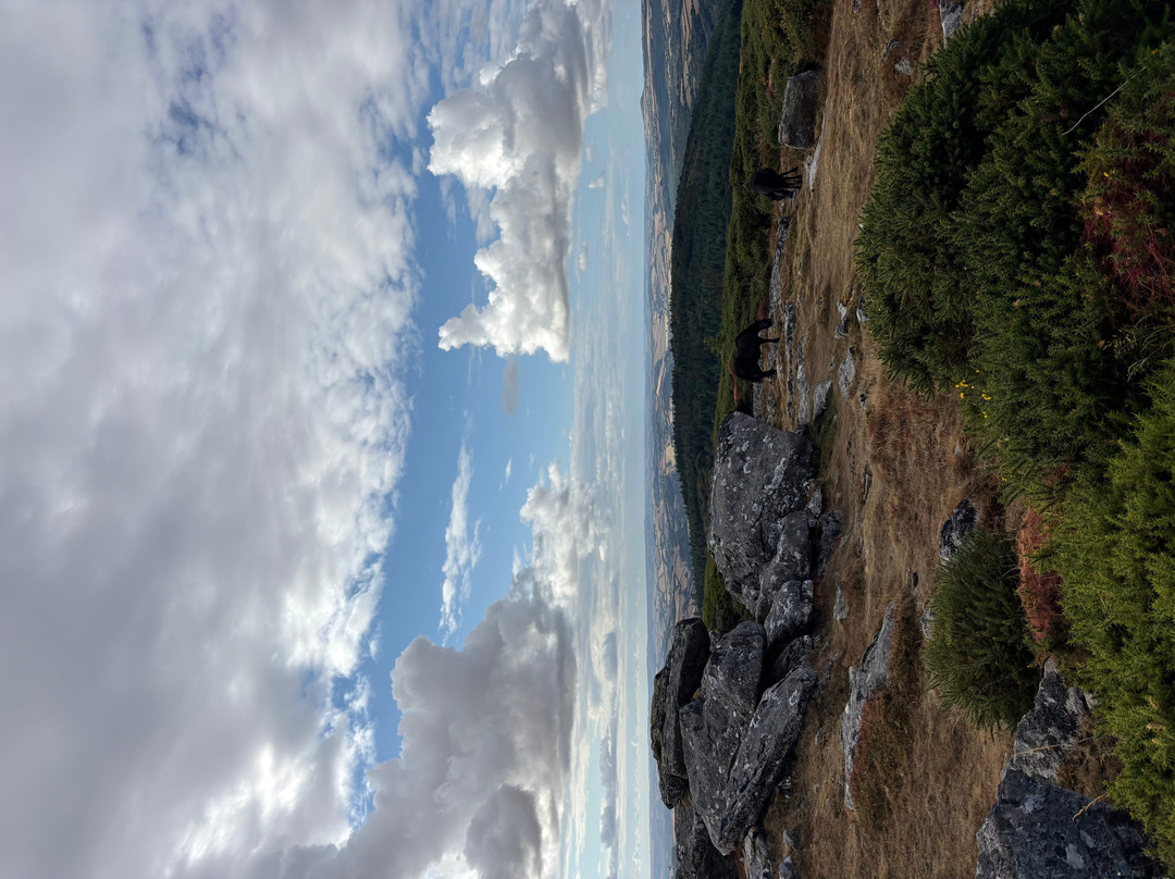 River Dart Country Park-Ashburton必去景点