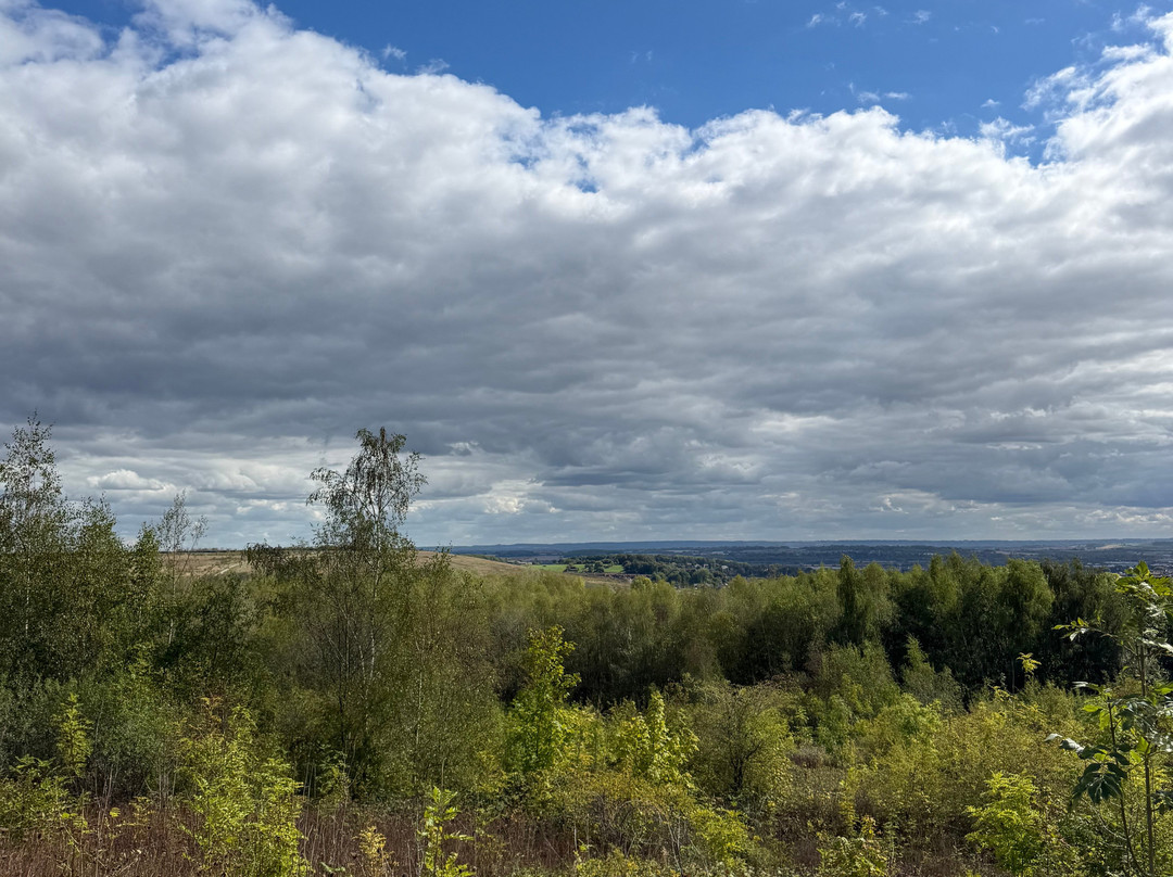 Gedling Country Park-Arnold必去景点
