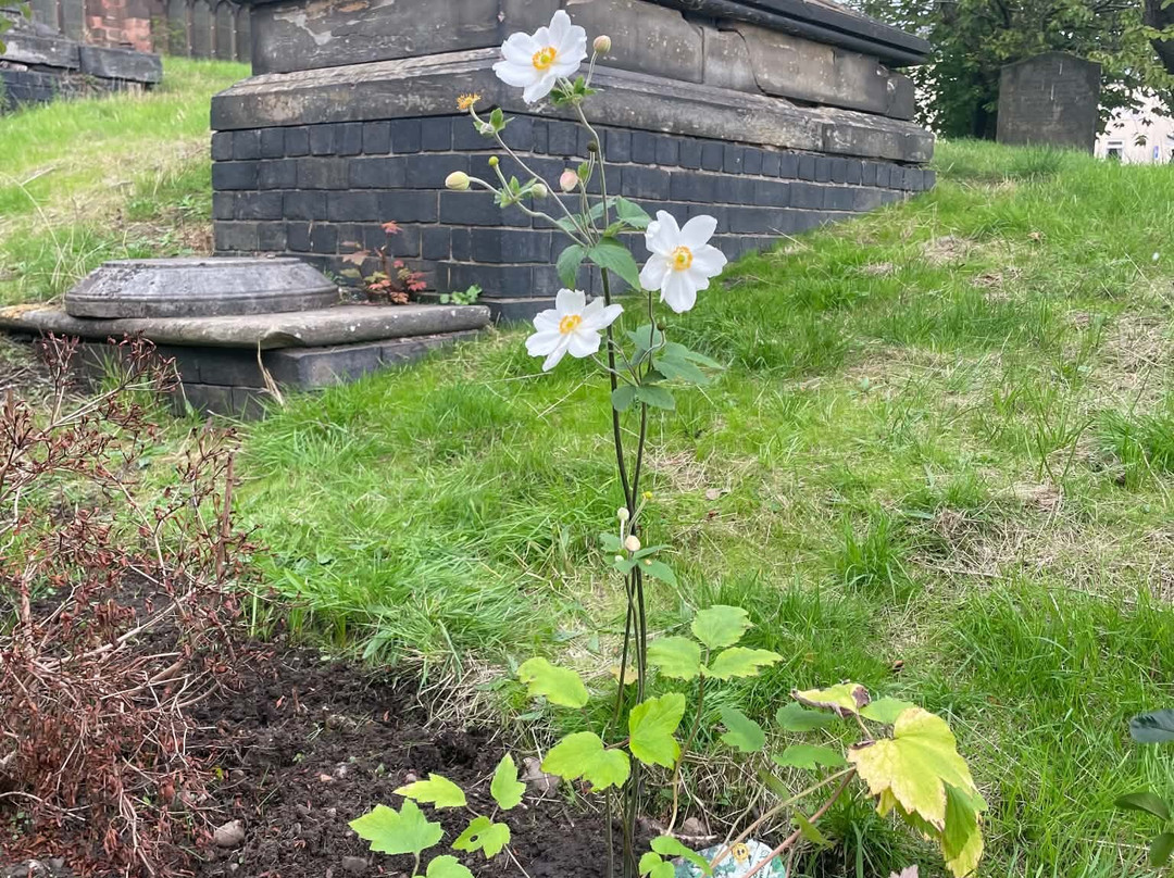 Burrow Farm Gardens-Dalwood必去景点