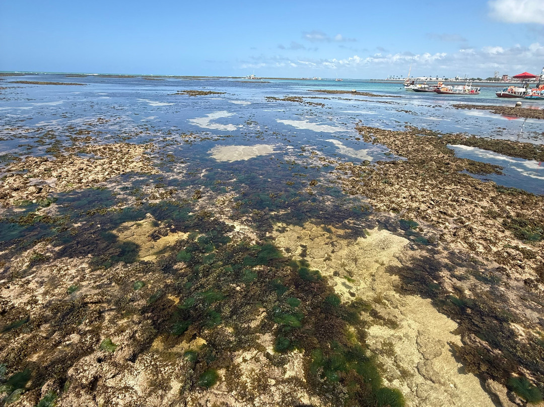 Piscinas Naturais De Pajucara-Maceio必去景点