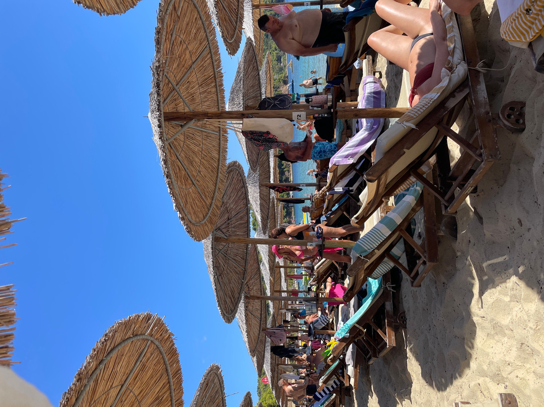 Koukounaries Beach-Koukounaries必去景点