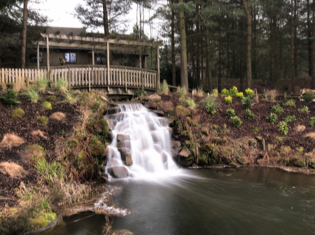 Center Parcs Whinfell Forest-彭里斯必去景点