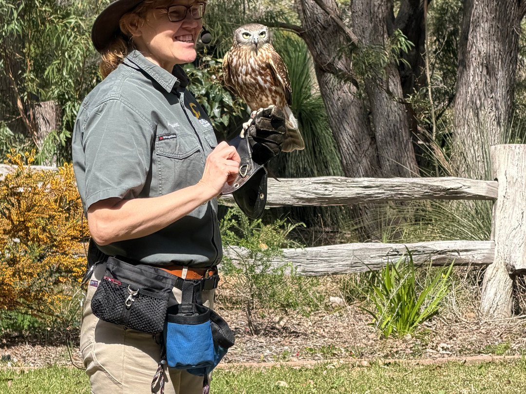 Capes Raptor Centre-玛格丽特河必去景点