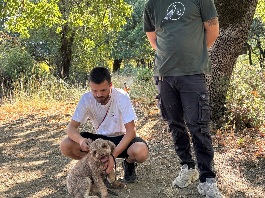 Truffle Hunting-卡兰巴卡必去景点