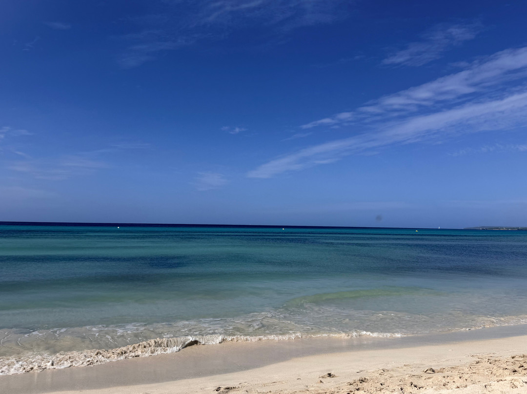 Platja d'es Trenc-Campos必去景点