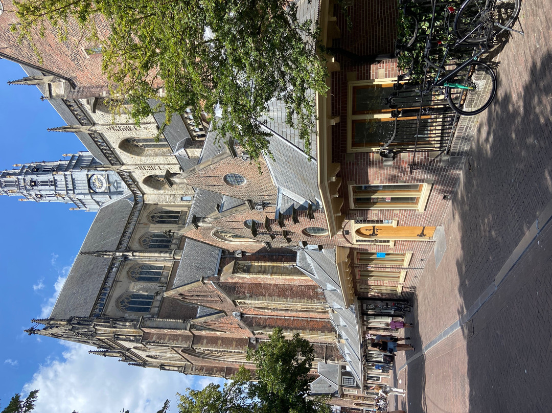Sint-Bavokerk (Church of St. Bavo)-哈勒姆必去景点