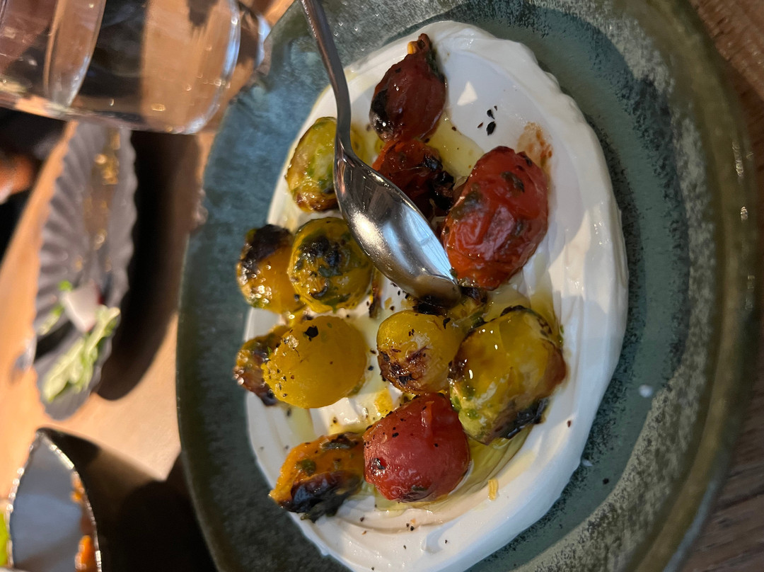 Rumi's Kitchen - Houston