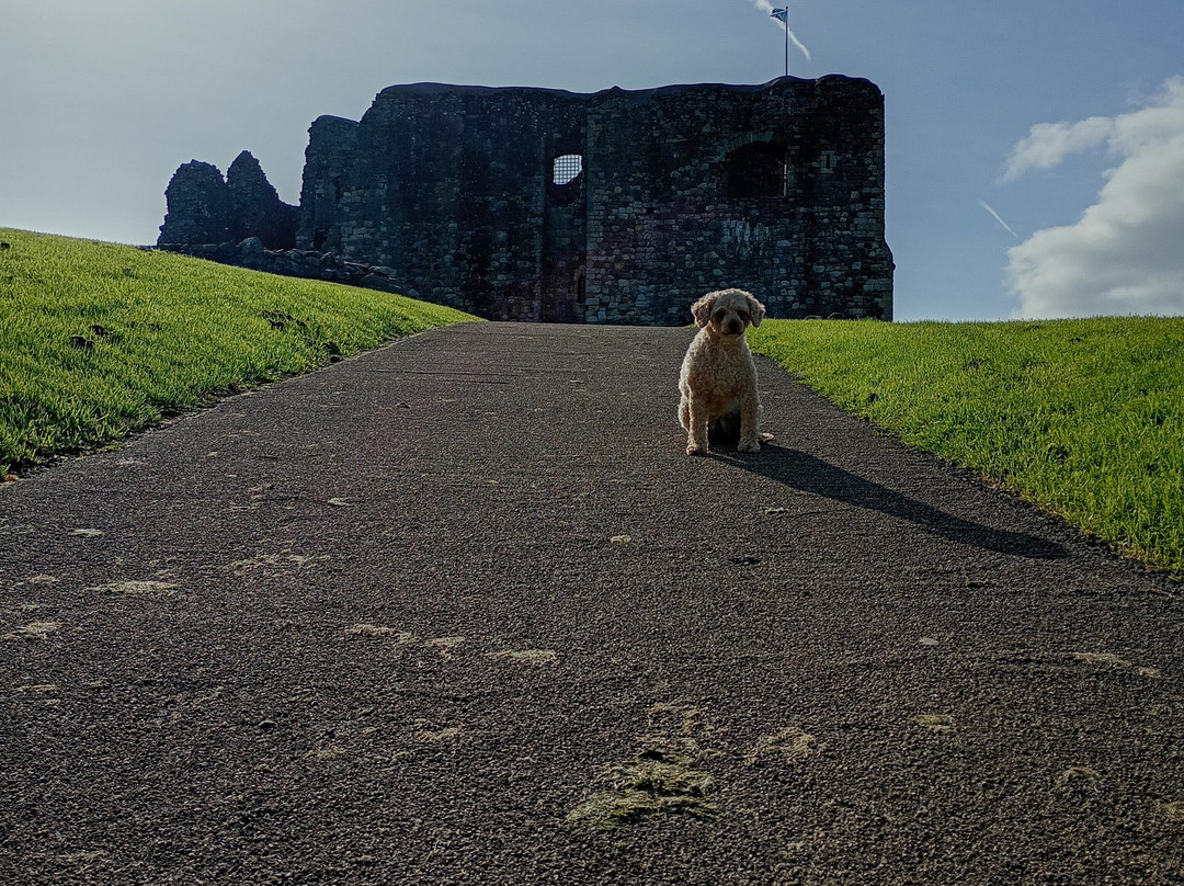 Dundonald Castle and Visitor Centre-Dundonald必去景点