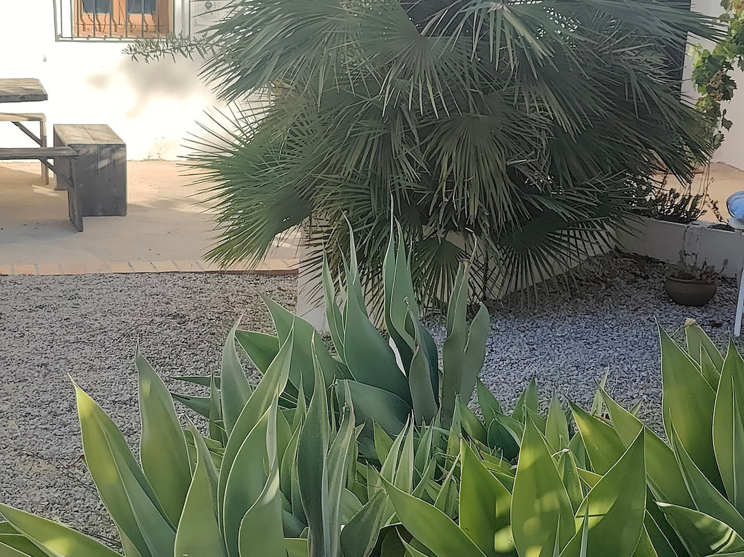 Finca Serrato主图