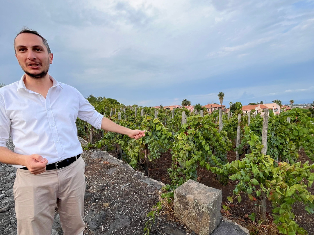 Benanti Winery-Viagrande必去景点