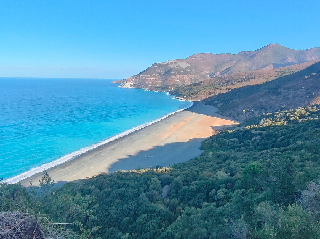 Plage de Nonza-Nonza必去景点
