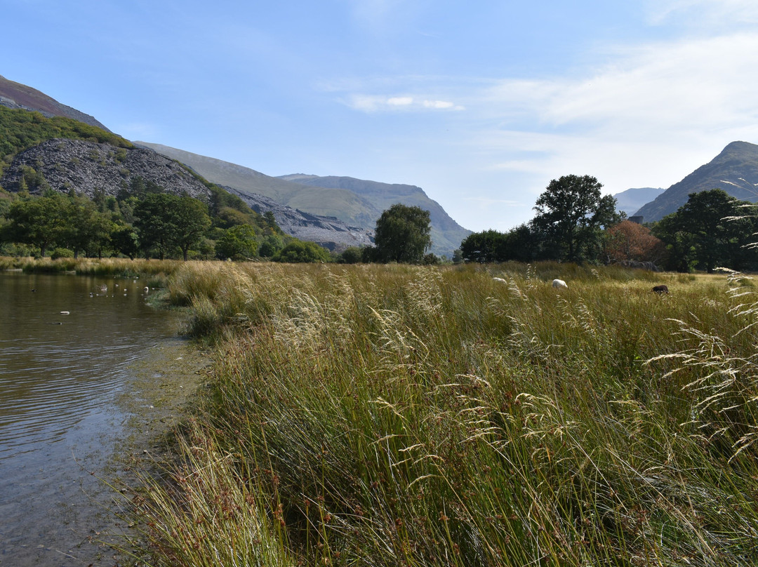 Snowdon Mountain Railway-Llanberis必去景点
