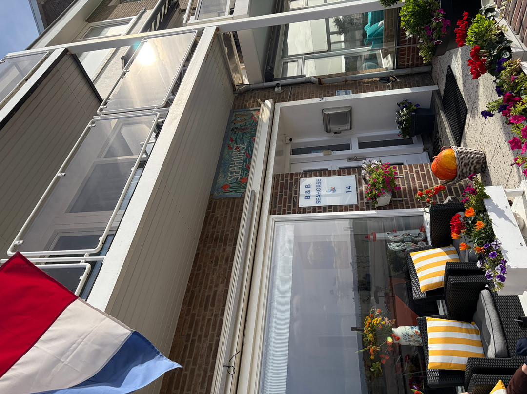 Hotel B&B Seahorse主图