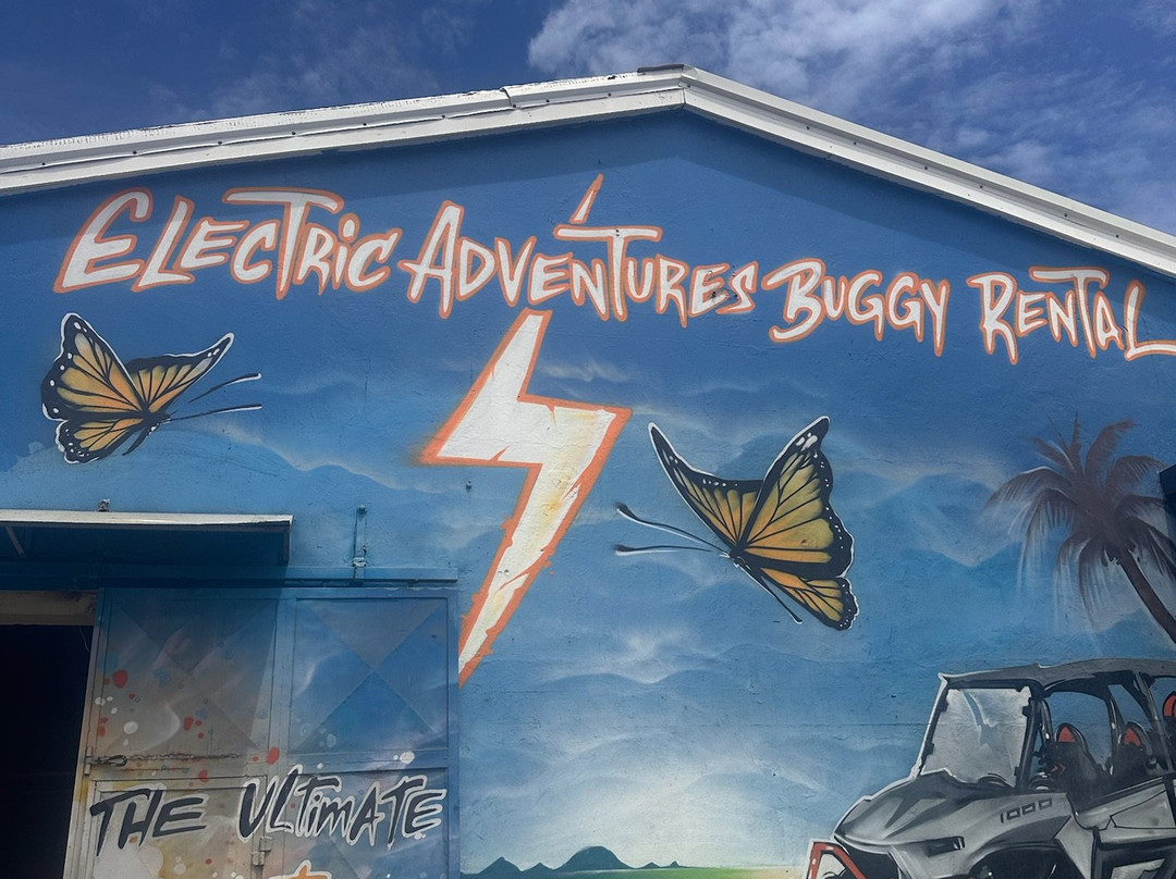 Electric Adventures-Sint Maarten必去景点