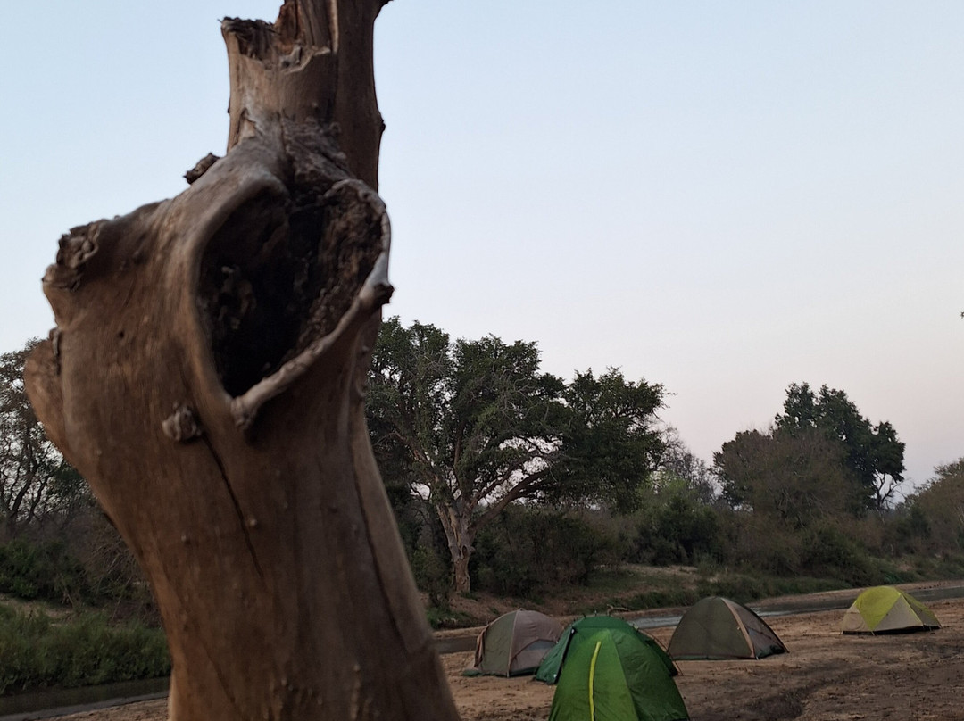 Paw Safaris-霍德斯普鲁特必去景点