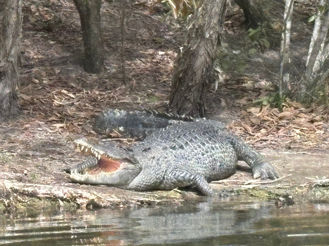 Hartley's Crocodile Adventures-Wangetti必去景点