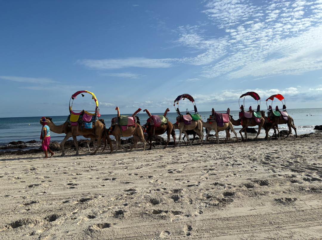 Télémaque Beach & Spa主图