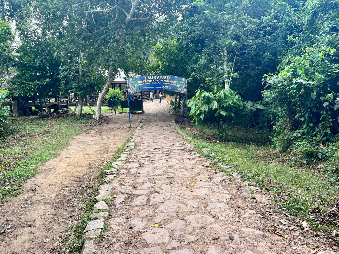 Kakum National Park-Cape Coast必去景点