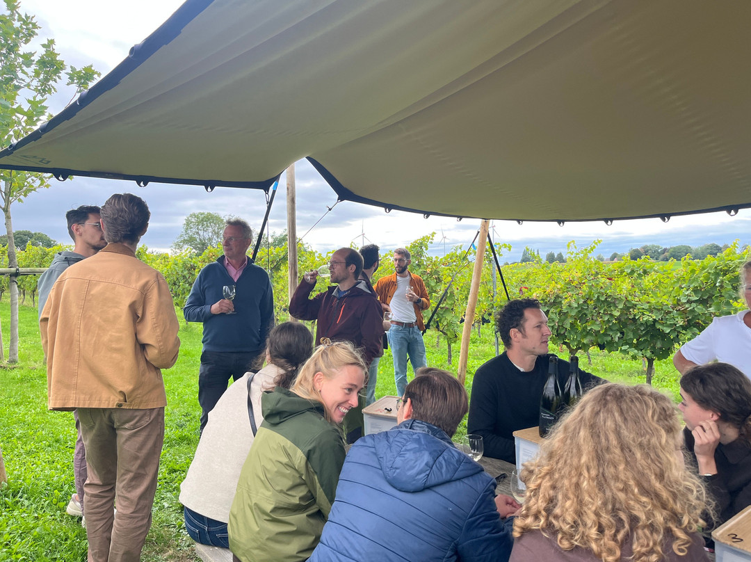 Brut Wines & Tours | Martenslinde-Bilzen必去景点