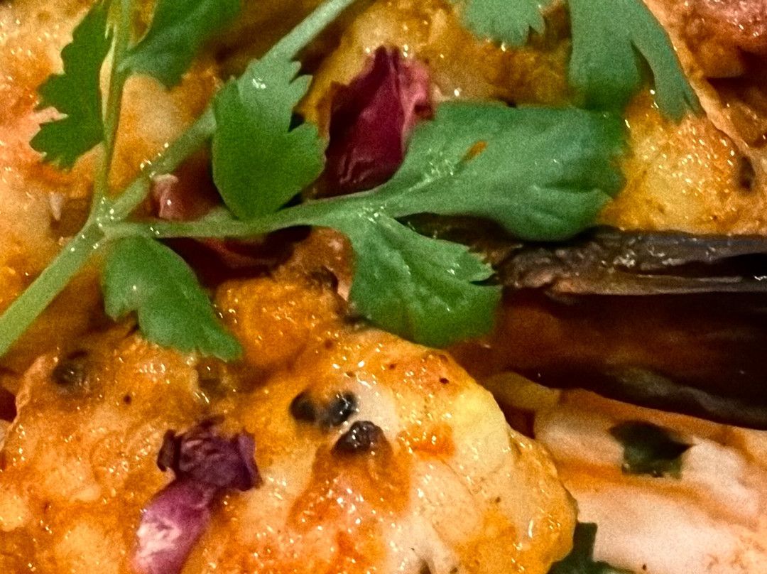 White Elephant - Modern Indian Cuisine