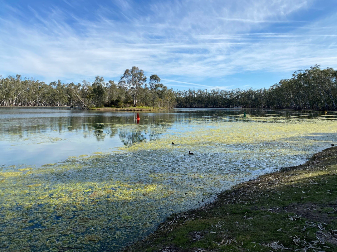 Nhill Lake-Nhill必去景点