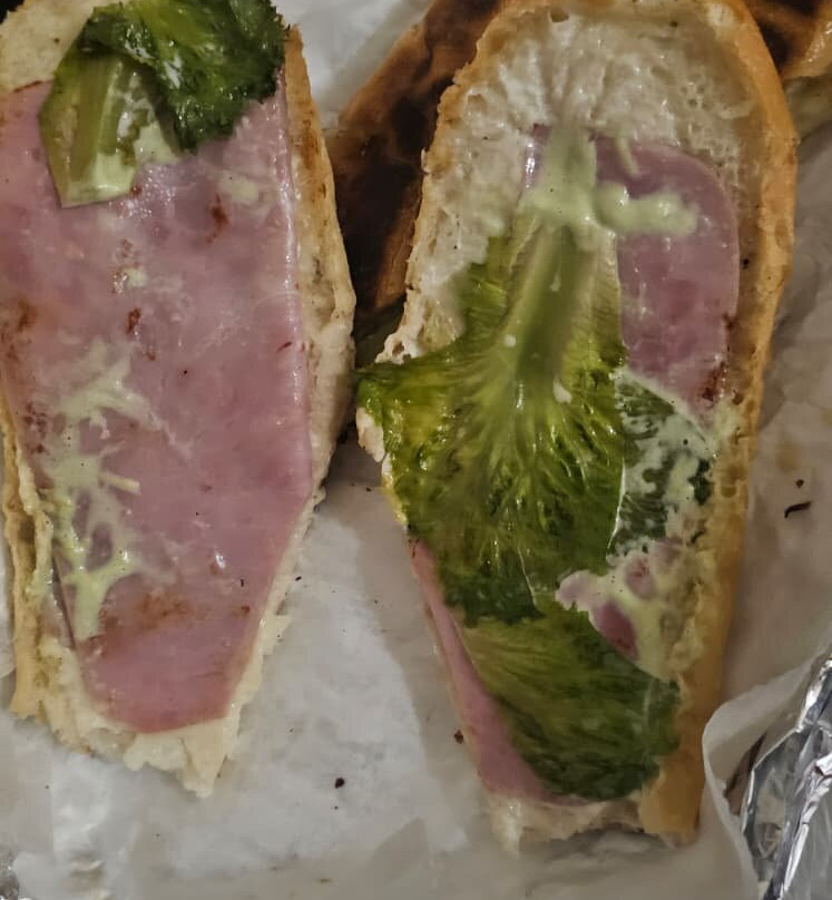 El Perro Veloz