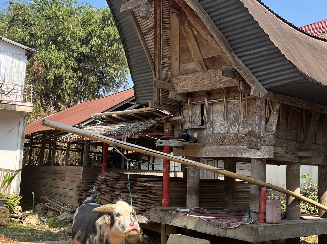 Ino Toraja Guide-兰特包必去景点