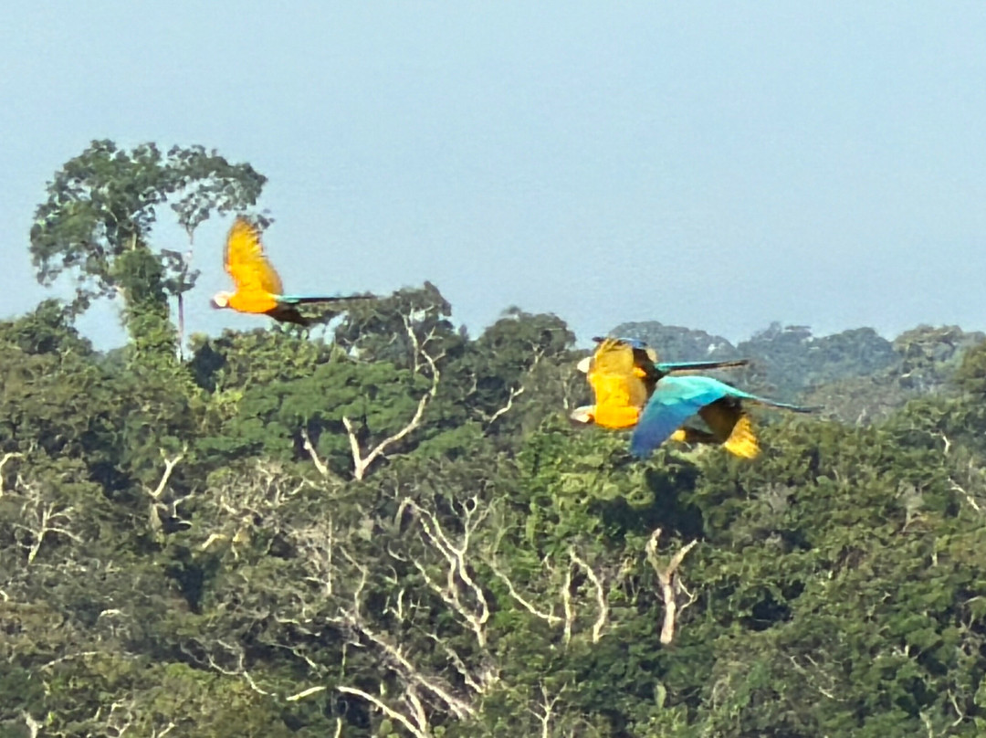 Napo Wildlife Center Ecolodge主图