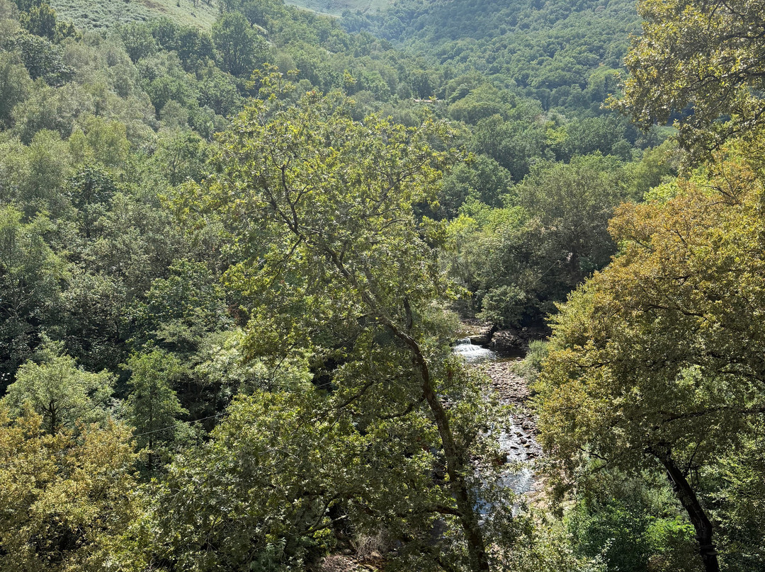 Arteka-Bidarray必去景点