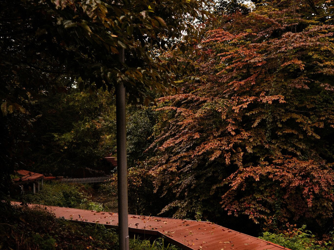 Lankaran Springs Wellness Resort主图