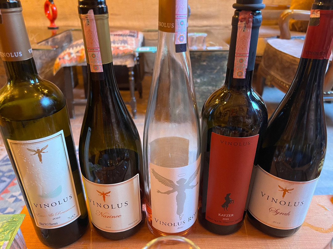 Vinodocia Wine & Art House-乌奇萨必去景点