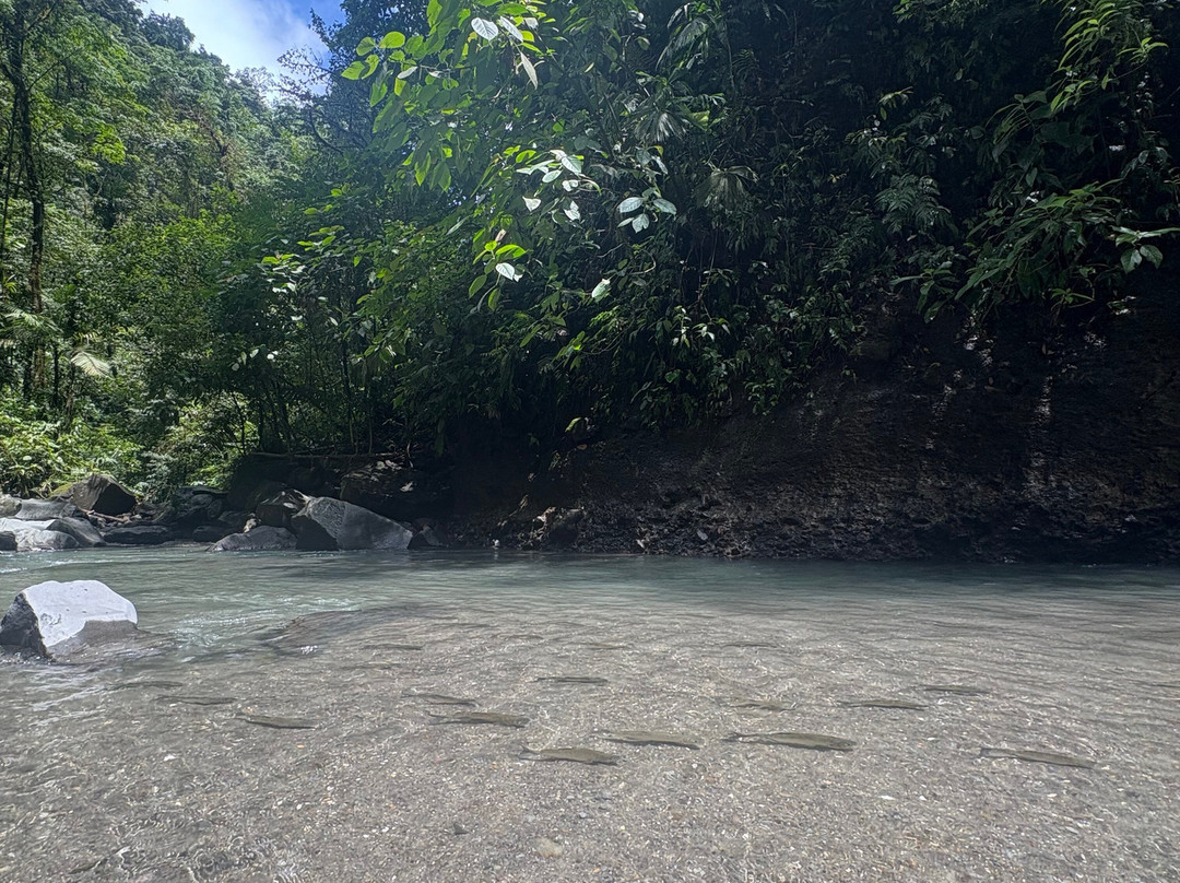 La Fortuna Waterfall-福德圣卡洛斯必去景点