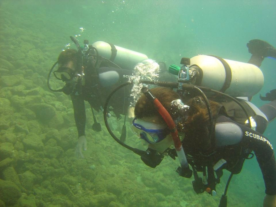Scubatec PADI Dive Center-Chichiriviche de la Costa必去景点