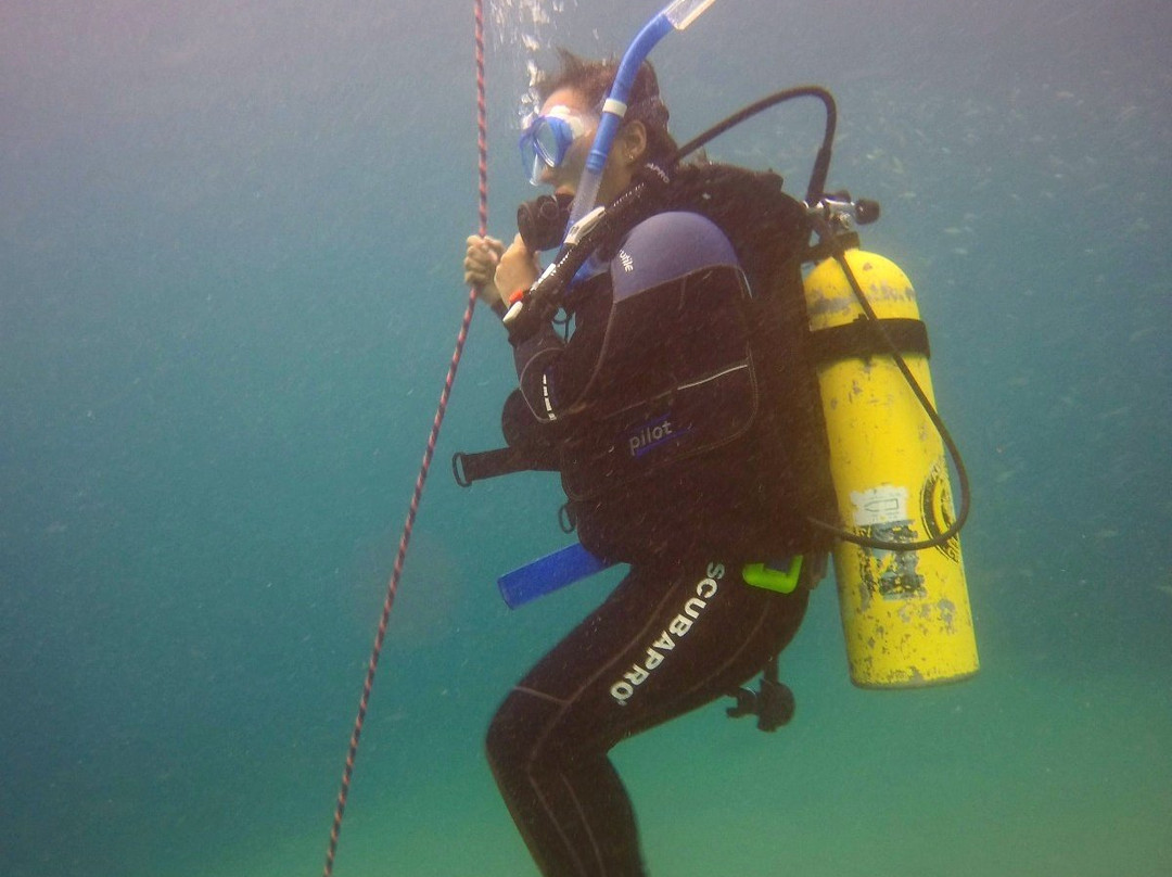 Scubatec PADI Dive Center-Chichiriviche de la Costa必去景点