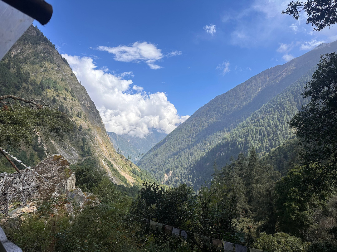 Unique Himalaya Treks And Expeditions
